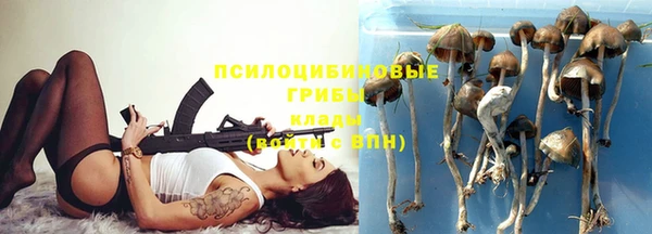 прущий лед Новозыбков