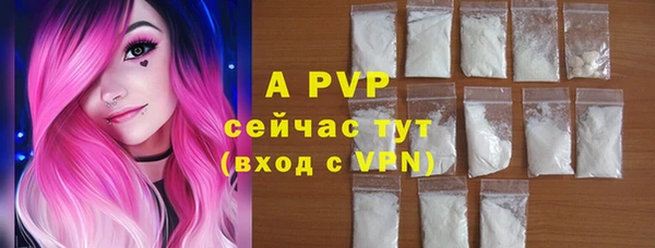 индика Заволжье