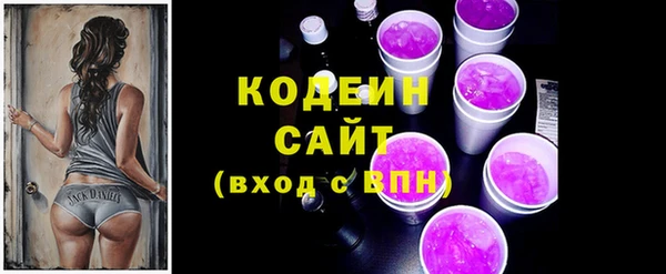 индика Заволжье