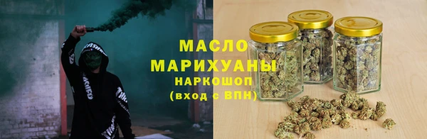 индика Заволжье