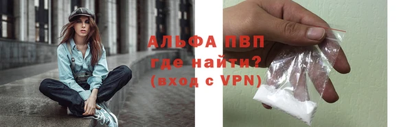индика Заволжье