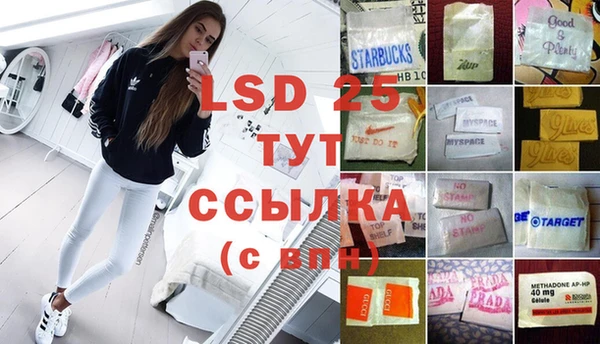 индика Заволжье