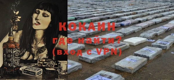 индика Заволжье