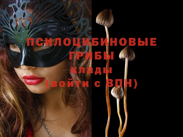 метадон Заволжск