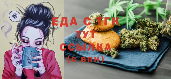 индика Заволжье