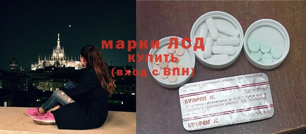 индика Заволжье