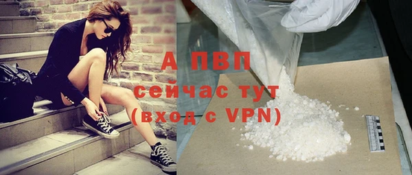 индика Заволжье
