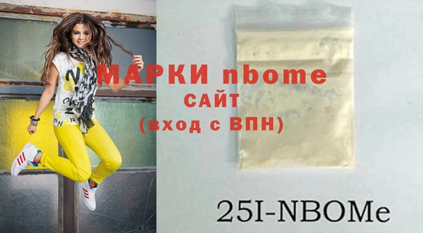 индика Заволжье