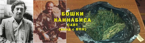 индика Заволжье