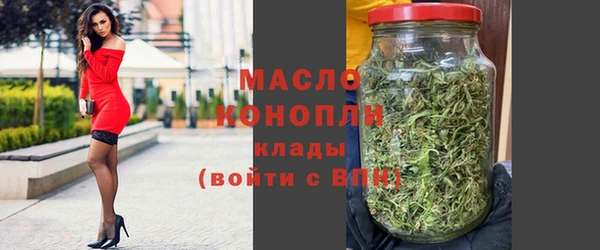 индика Заволжье