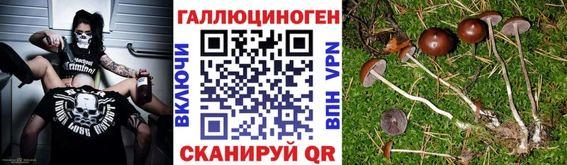 Галлюциногенные грибы GOLDEN TEACHER  Судак 